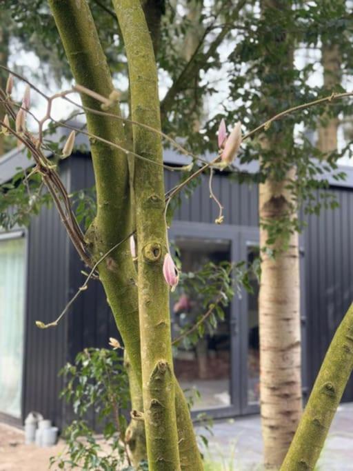 Veluwe Boutique Lodge Putten Eksteriør billede